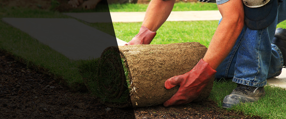 Cabot Landscapers